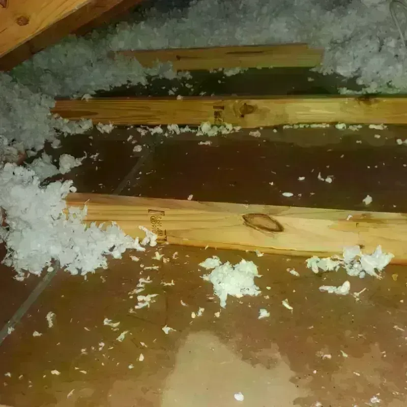 Attic Water Damage in Walkertown, NC